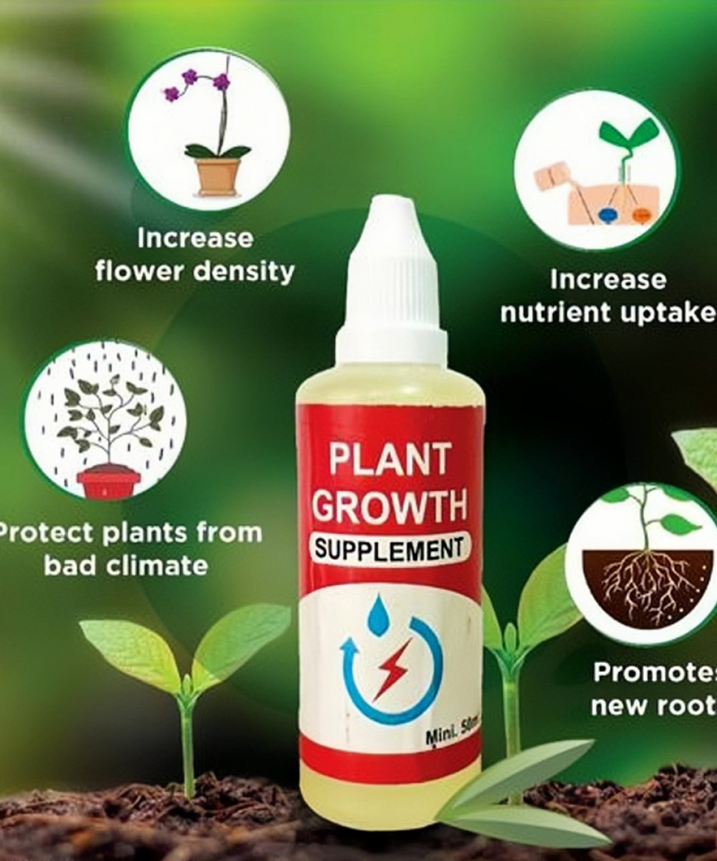 Lotus 40 Seeds With Plant Growth Booster